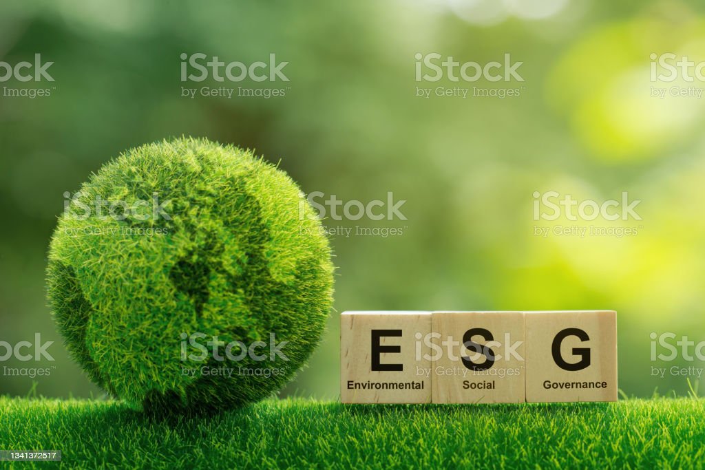 ESG Consulting in the USA